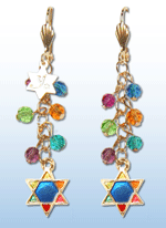 Feelin' Jewish Earrings 1