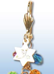 Feelin' Jewish Earrings 21